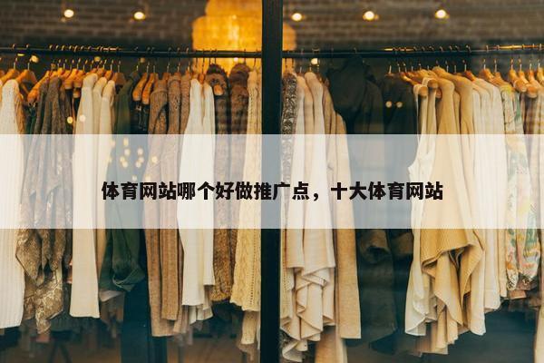 体育网站哪个好做推广点，十大体育网站