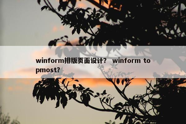 winform排版页面设计？ winform topmost？