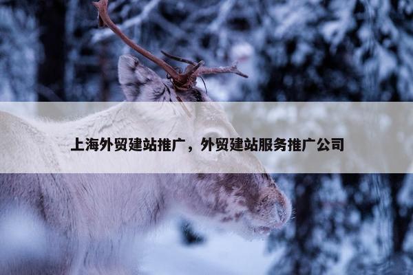 上海外贸建站推广，外贸建站服务推广公司