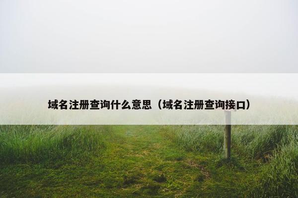 域名注册查询什么意思（域名注册查询接口）
