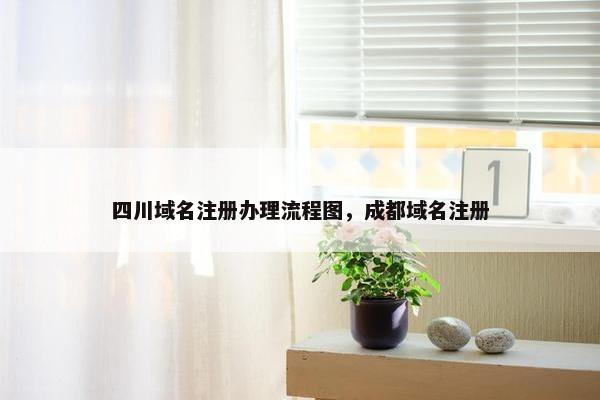 四川域名注册办理流程图，成都域名注册