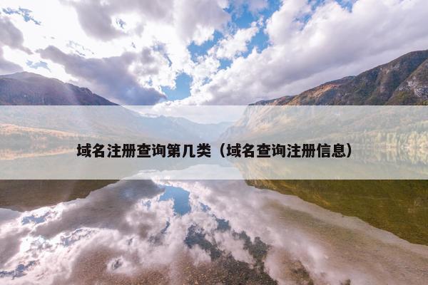 域名注册查询第几类（域名查询注册信息）