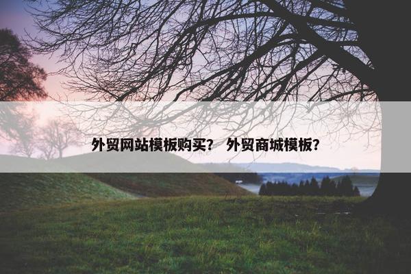 外贸网站模板购买？ 外贸商城模板？