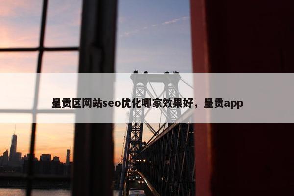 呈贡区网站seo优化哪家效果好，呈贡app