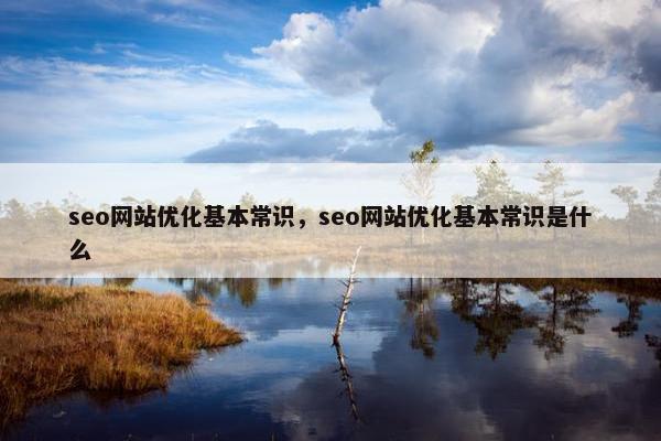 seo网站优化基本常识，seo网站优化基本常识是什么