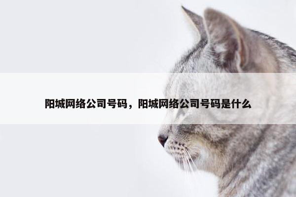 阳城网络公司号码，阳城网络公司号码是什么