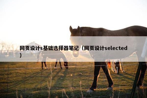 网页设计s基础选择器笔记（网页设计selected）