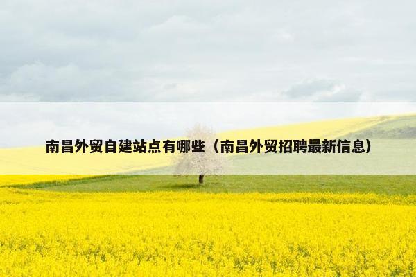 南昌外贸自建站点有哪些（南昌外贸招聘最新信息）