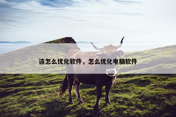 该怎么优化软件，怎么优化电脑软件