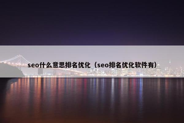 seo什么意思排名优化（seo排名优化软件有）