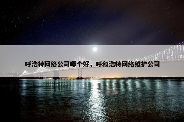 呼浩特网络公司哪个好，呼和浩特网络维护公司