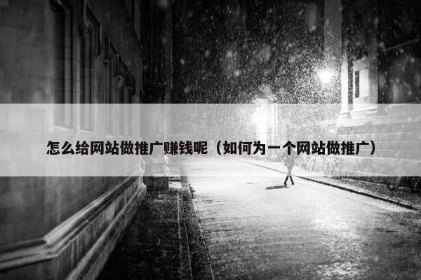 怎么给网站做推广赚钱呢（如何为一个网站做推广）