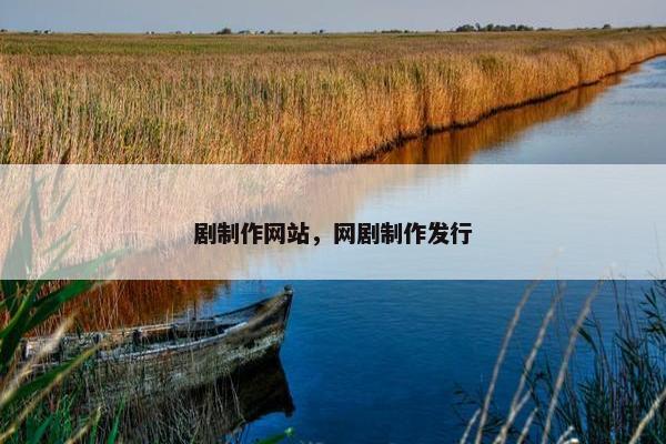 剧制作网站，网剧制作发行