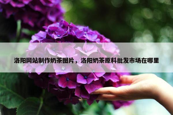 洛阳网站制作奶茶图片，洛阳奶茶原料批发市场在哪里