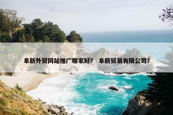 阜新外贸网站推广哪家好？ 阜新贸易有限公司？