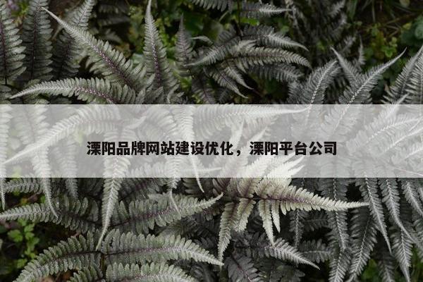 溧阳品牌网站建设优化，溧阳平台公司