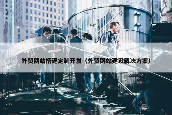 外贸网站搭建定制开发（外贸网站建设解决方案）
