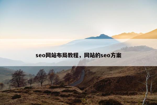 seo网站布局教程，网站的seo方案