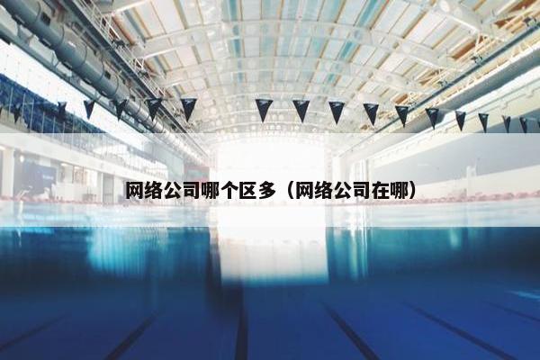 网络公司哪个区多（网络公司在哪）