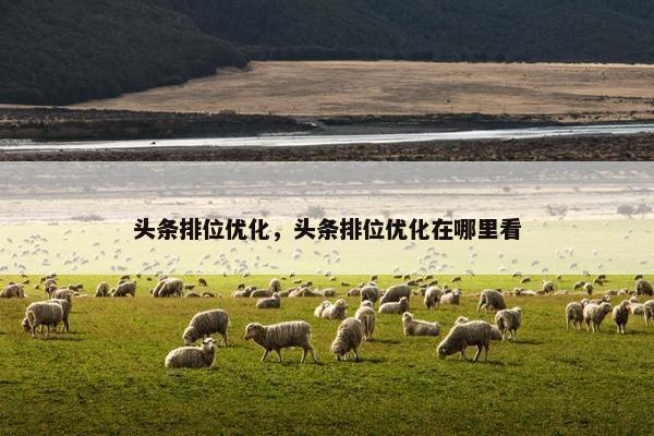 头条排位优化，头条排位优化在哪里看