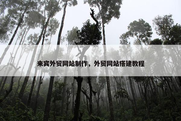 来宾外贸网站制作，外贸网站搭建教程