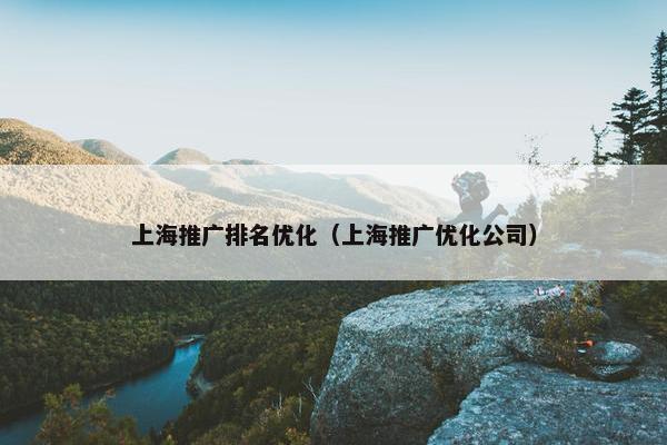 上海推广排名优化（上海推广优化公司）