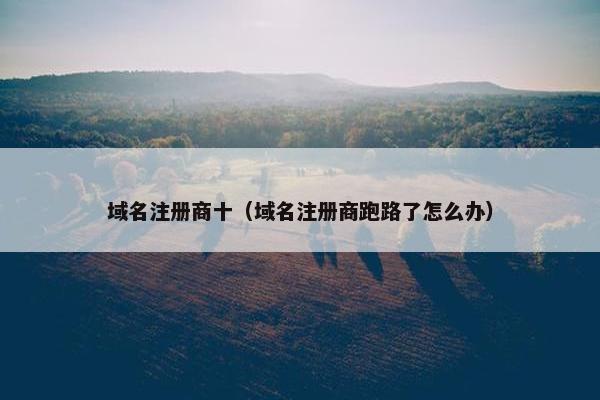 域名注册商十（域名注册商跑路了怎么办）