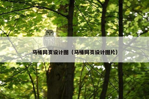 马桶网页设计图（马桶网页设计图片）
