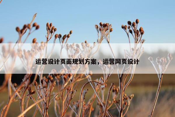 运营设计页面规划方案，运营网页设计