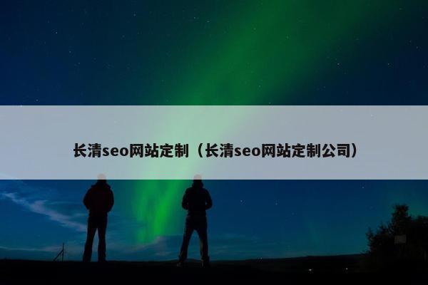 长清seo网站定制（长清seo网站定制公司）