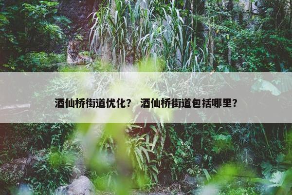 酒仙桥街道优化？ 酒仙桥街道包括哪里？