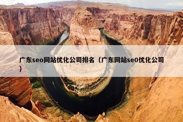 广东seo网站优化公司排名（广东网站se0优化公司）