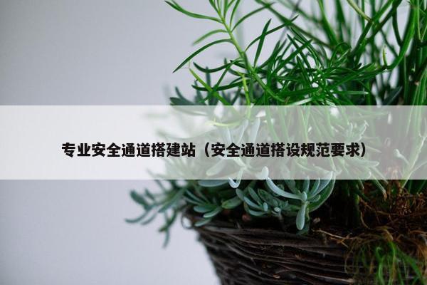 专业安全通道搭建站（安全通道搭设规范要求）