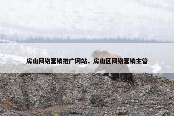 房山网络营销推广网站，房山区网络营销主管