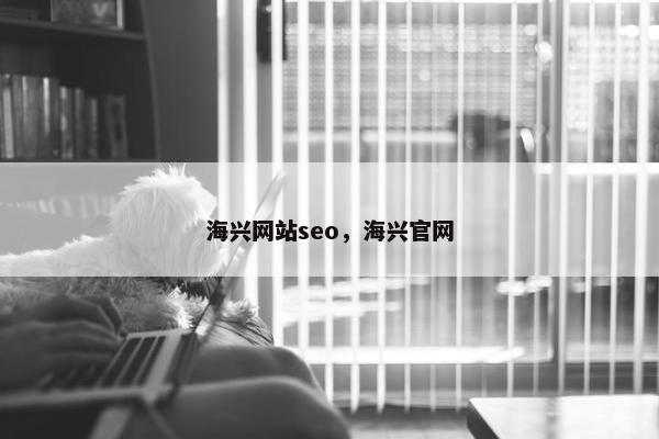 海兴网站seo，海兴官网