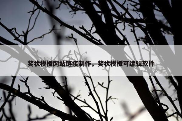 奖状模板网站链接制作，奖状模板可编辑软件