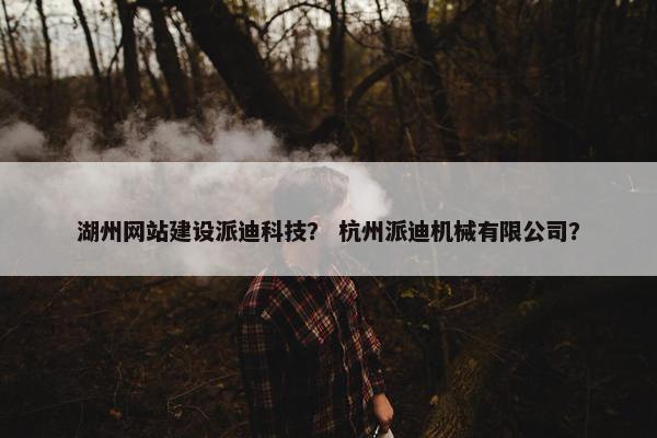 湖州网站建设派迪科技？ 杭州派迪机械有限公司？