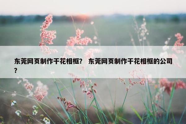 东莞网页制作干花相框？ 东莞网页制作干花相框的公司？