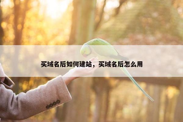 买域名后如何建站，买域名后怎么用