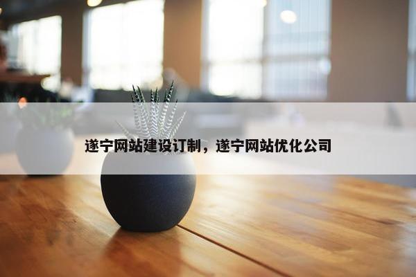 遂宁网站建设订制，遂宁网站优化公司