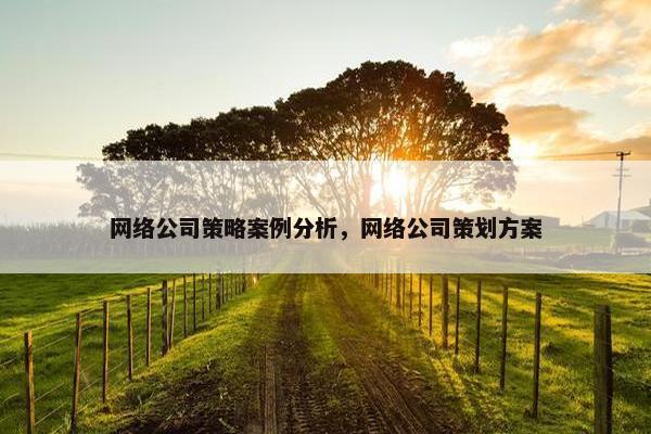 网络公司策略案例分析，网络公司策划方案