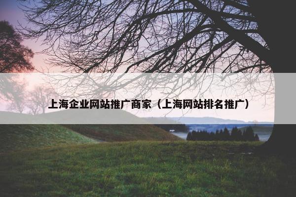 上海企业网站推广商家（上海网站排名推广）