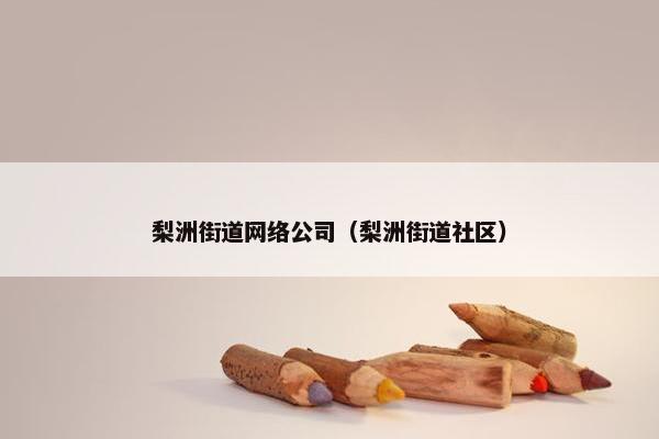 梨洲街道网络公司（梨洲街道社区）