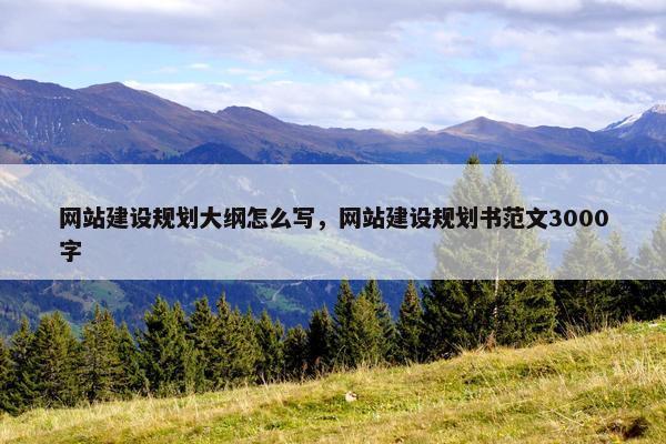 网站建设规划大纲怎么写，网站建设规划书范文3000字