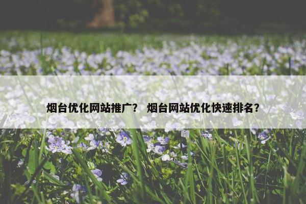 烟台优化网站推广？ 烟台网站优化快速排名？