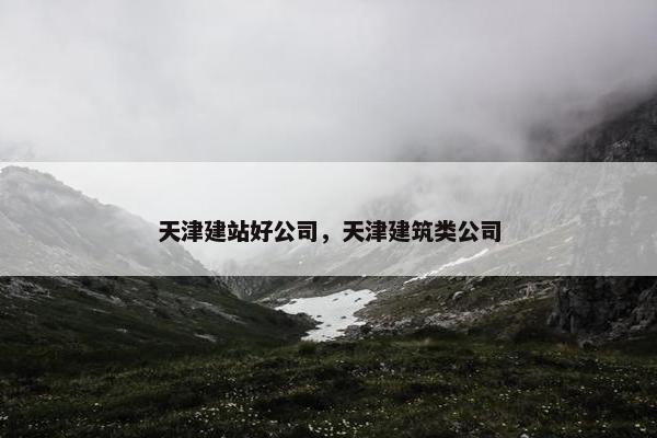 天津建站好公司，天津建筑类公司