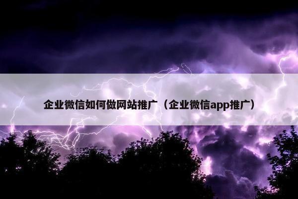企业微信如何做网站推广（企业微信app推广）