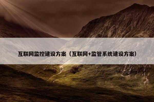 互联网监控建设方案（互联网+监管系统建设方案）