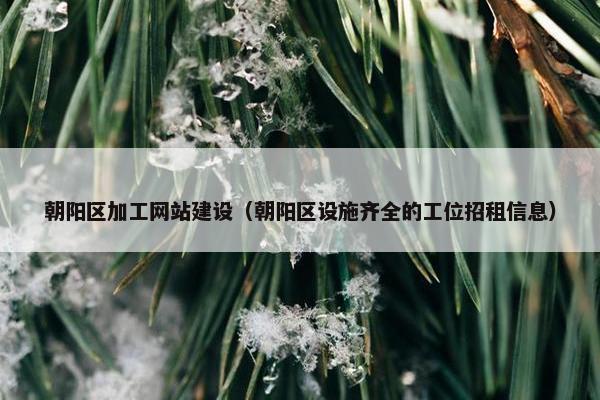 朝阳区加工网站建设（朝阳区设施齐全的工位招租信息）