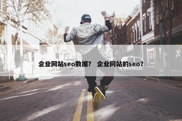 企业网站seo数据？ 企业网站的seo？